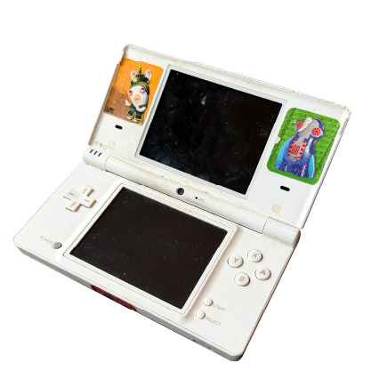 DSi